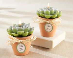 "Desert Rose" Cactus Candle (Set of 4)