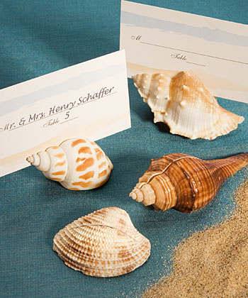 Natural Selections Collection shell design place card holders