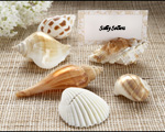 "Shells by the Sea" Authentic Shell Placecard Holders with Matching Placecards (Set of 6)