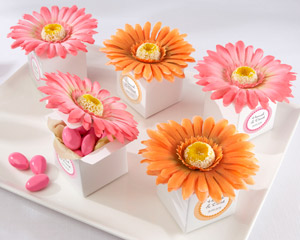 Daisy Delight Gerbera Daisy Favor Box - Bright Orange - Hot Pink - Set of 24