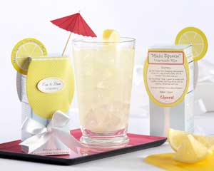 Main Squeeze Lemonade Mix (set of 6)