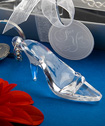 Cinderella shoe/glass slipper keychain favor