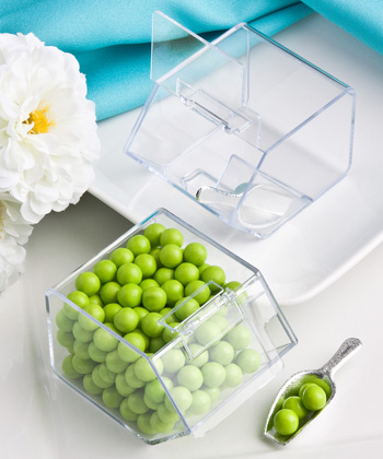 Perfectly Plain Collection candy bin & scoop favors