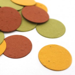 Autumn Circle Eco Confetti