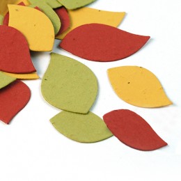 Autumn Leaf Eco Confetti