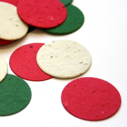 Christmas Circle Eco Confetti