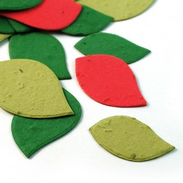 Christmas Leaf Eco Confetti