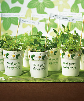 Mini Flower Pots (Set of 6)