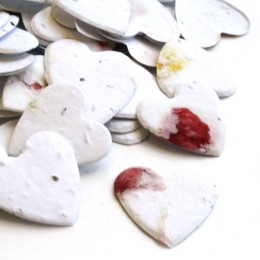 Heart Shaped Plantable Confetti - Set of 350